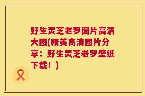 野生灵芝老罗图片高清大图(精美高清图片分享：野生灵芝老罗壁纸下载！)  第1张