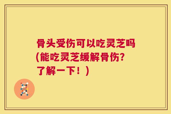 骨头受伤可以吃灵芝吗(能吃灵芝缓解骨伤？了解一下！)  第1张