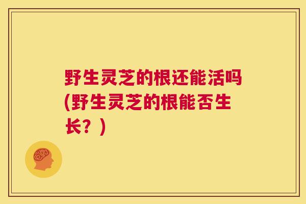 野生灵芝的根还能活吗(野生灵芝的根能否生长？)  第1张