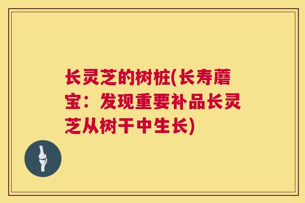 长灵芝的树桩(长寿蘑宝:发现重要补品长灵芝从树干中生长) 第1张 长灵芝的树桩(长寿蘑宝:发现重要补品长灵芝从树干中生长) 第1张