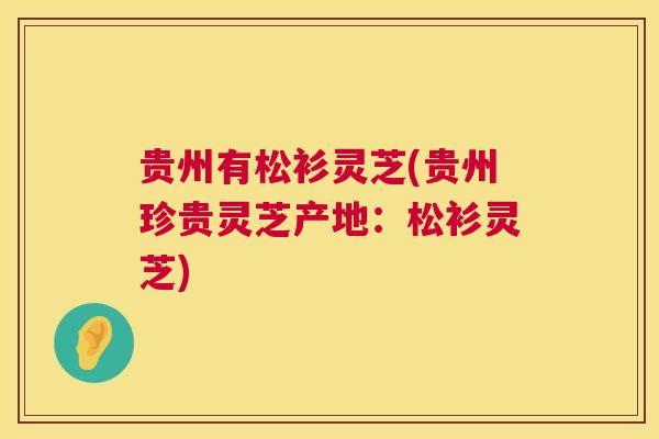 贵州有松衫灵芝(贵州珍贵灵芝产地：松衫灵芝)  第1张