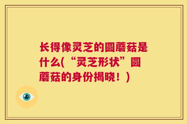 长得像灵芝的圆蘑菇是什么(“灵芝形状”圆蘑菇的身份揭晓!) 第1张 长得像灵芝的圆蘑菇是什么(“灵芝形状”圆蘑菇的身份揭晓!) 第1张