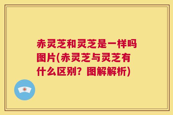 赤灵芝和灵芝是一样吗图片(赤灵芝与灵芝有什么区别？图解解析)  第1张