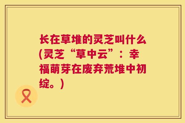 长在草堆的灵芝叫什么(灵芝“草中云”:幸福萌芽在废弃荒堆中初绽。) 第1张 长在草堆的灵芝叫什么(灵芝“草中云”:幸福萌芽在废弃荒堆中初绽。) 第1张