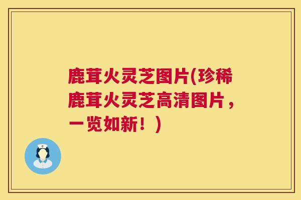 鹿茸火灵芝图片(珍稀鹿茸火灵芝高清图片，一览如新！)  第1张