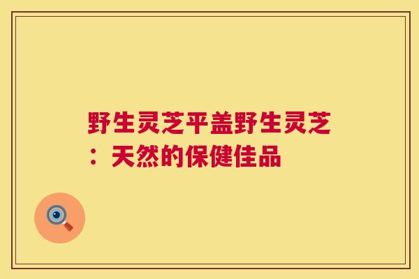 野生灵芝平盖野生灵芝：天然的保健佳品  第1张