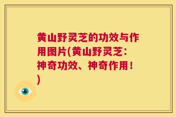 黄山野灵芝的功效与作用图片(黄山野灵芝：神奇功效、神奇作用！)  第1张
