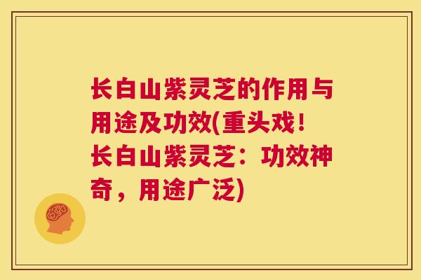 长白山紫灵芝的作用与用途及功效(重头戏！长白山紫灵芝：功效神奇，用途广泛)  第1张