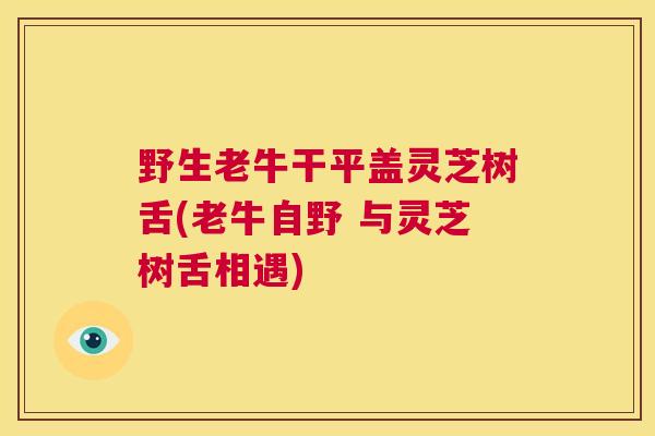 野生老牛干平盖灵芝树舌(老牛自野 与灵芝树舌相遇)  第1张