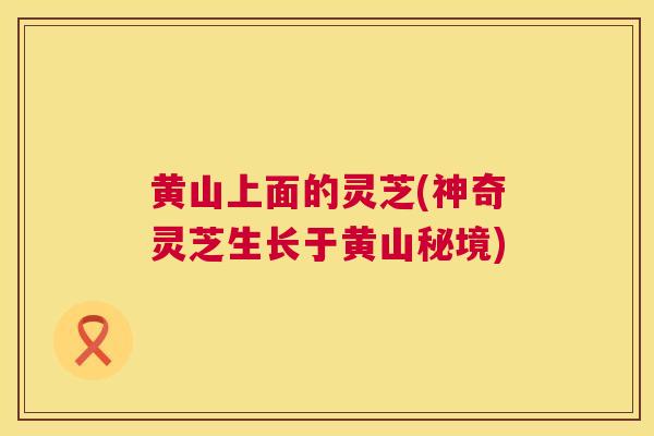 黄山上面的灵芝(神奇灵芝生长于黄山秘境)  第1张