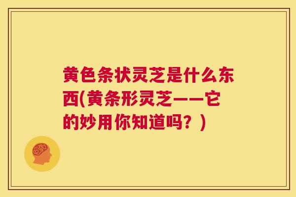 黄色条状灵芝是什么东西(黄条形灵芝——它的妙用你知道吗？)  第1张