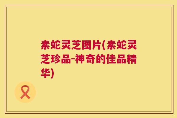 素蛇灵芝图片(素蛇灵芝珍品-神奇的佳品精华)  第1张