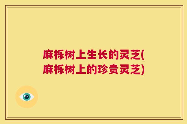 麻栎树上生长的灵芝(麻栎树上的珍贵灵芝)  第1张