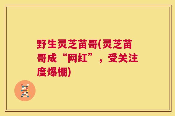 野生灵芝苗哥(灵芝苗哥成“网红”，受关注度爆棚)  第1张