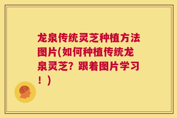 龙泉传统灵芝种植方法图片(如何种植传统龙泉灵芝？跟着图片学习！)  第1张