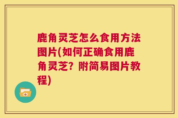 鹿角灵芝怎么食用方法图片(如何正确食用鹿角灵芝？附简易图片教程)  第1张