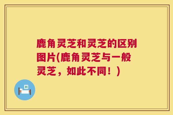 鹿角灵芝和灵芝的区别图片(鹿角灵芝与一般灵芝,如此不同!) 第1张 鹿角灵芝和灵芝的区别图片(鹿角灵芝与一般灵芝,如此不同!) 第1张
