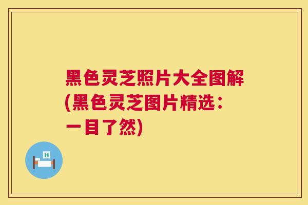 黑色灵芝照片大全图解(黑色灵芝图片精选:一目了然) 第1张 黑色灵芝照片大全图解(黑色灵芝图片精选:一目了然) 第1张