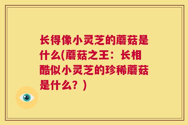长得像小灵芝的蘑菇是什么(蘑菇之王:长相酷似小灵芝的珍稀蘑菇是什么?) 第1张 长得像小灵芝的蘑菇是什么(蘑菇之王:长相酷似小灵芝的珍稀蘑菇是什么?) 第1张