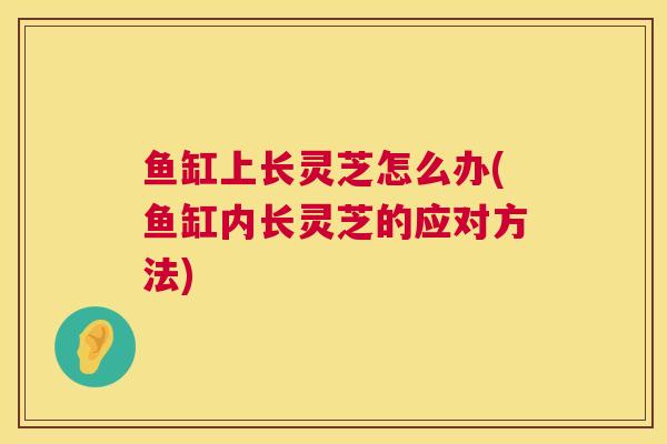 鱼缸上长灵芝怎么办(鱼缸内长灵芝的应对方法) 第1张 鱼缸上长灵芝怎么办(鱼缸内长灵芝的应对方法) 第1张