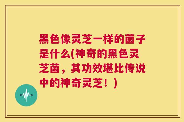 黑色像灵芝一样的菌子是什么(神奇的黑色灵芝菌，其功效堪比传说中的神奇灵芝！)  第1张