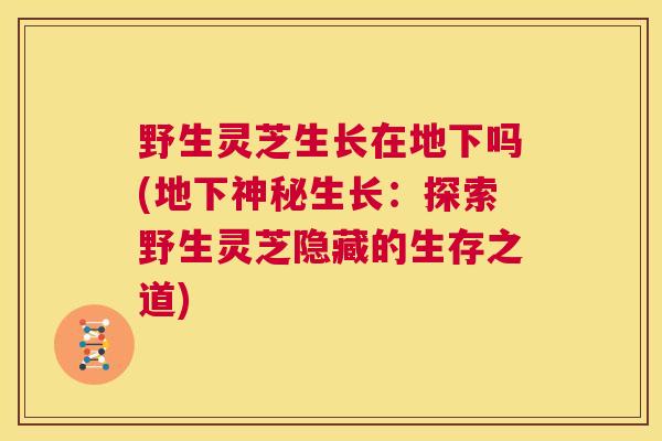 野生灵芝生长在地下吗(地下神秘生长：探索野生灵芝隐藏的生存之道)  第1张