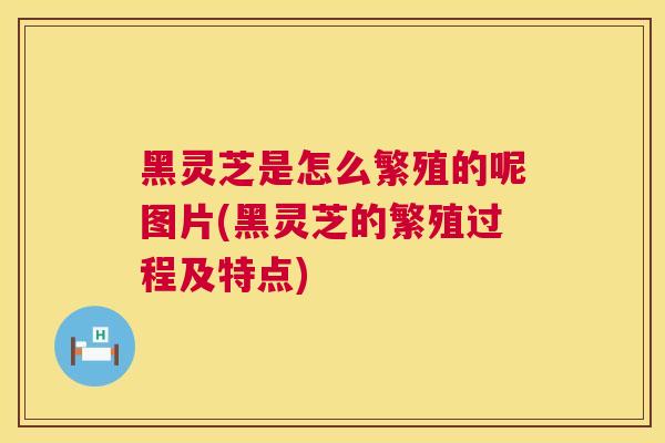 黑灵芝是怎么繁殖的呢图片(黑灵芝的繁殖过程及特点) 第1张 黑灵芝是怎么繁殖的呢图片(黑灵芝的繁殖过程及特点) 第1张