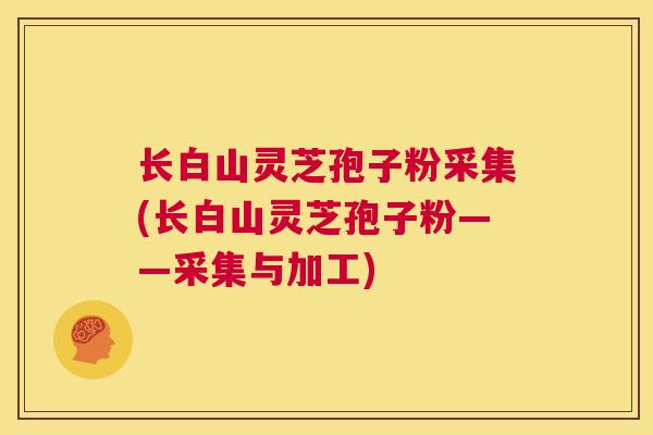 长白山灵芝孢子粉采集(长白山灵芝孢子粉——采集与加工) 第1张 长白山灵芝孢子粉采集(长白山灵芝孢子粉——采集与加工) 第1张