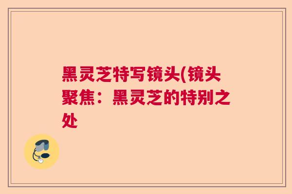 黑灵芝特写镜头(镜头聚焦：黑灵芝的特别之处  第1张