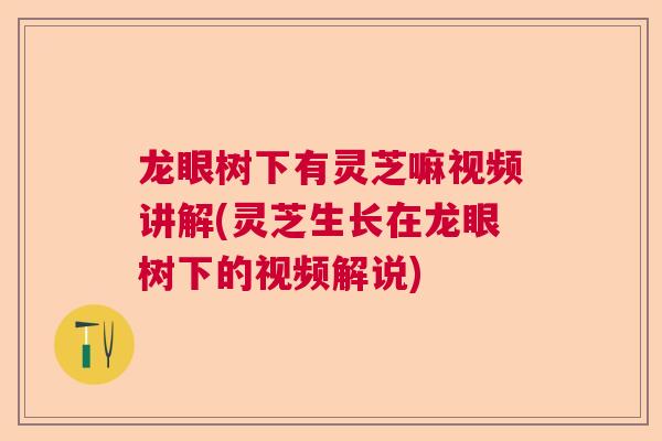 龙眼树下有灵芝嘛视频讲解(灵芝生长在龙眼树下的视频解说)  第1张 龙眼树下有灵芝嘛视频讲解(灵芝生长在龙眼树下的视频解说)  第1张