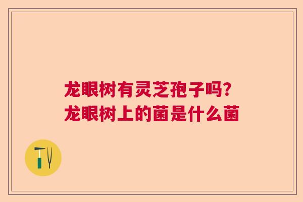 龙眼树有灵芝孢子吗?龙眼树上的菌是什么菌  第1张 龙眼树有灵芝孢子吗?龙眼树上的菌是什么菌  第1张