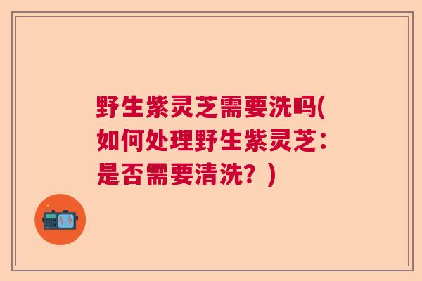 野生紫灵芝需要洗吗(如何处理野生紫灵芝:是否需要清洗?)  第1张 野生紫灵芝需要洗吗(如何处理野生紫灵芝:是否需要清洗?)  第1张