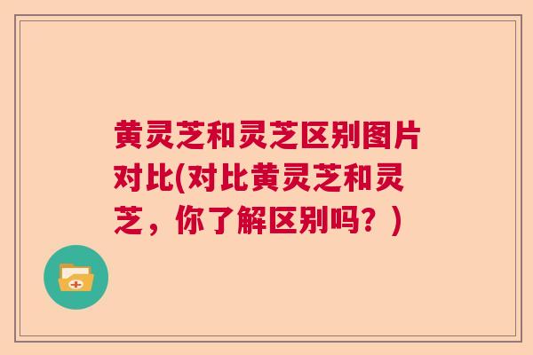 黄灵芝和灵芝区别图片对比(对比黄灵芝和灵芝,你了解区别吗?)  第1张 黄灵芝和灵芝区别图片对比(对比黄灵芝和灵芝,你了解区别吗?)  第1张