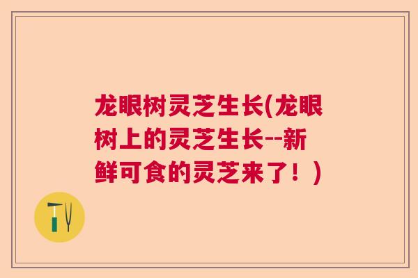 龙眼树灵芝生长(龙眼树上的灵芝生长--新鲜可食的灵芝来了!)  第1张 龙眼树灵芝生长(龙眼树上的灵芝生长--新鲜可食的灵芝来了!)  第1张