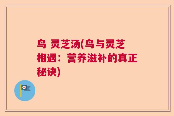 鸟 灵芝汤(鸟与灵芝相遇:营养滋补的真正秘诀)  第1张 鸟 灵芝汤(鸟与灵芝相遇:营养滋补的真正秘诀)  第1张
