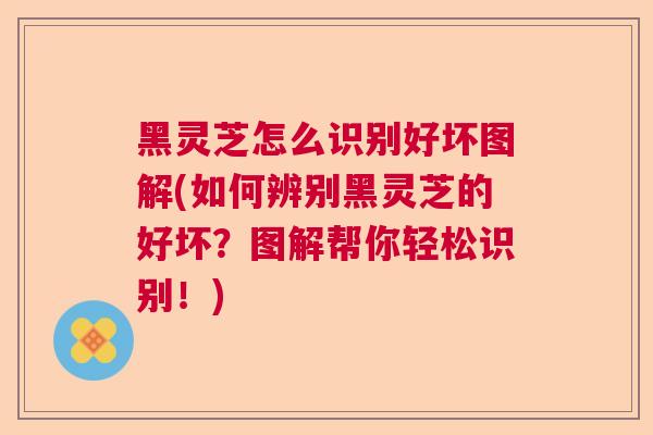 黑灵芝怎么识别好坏图解(如何辨别黑灵芝的好坏？图解帮你轻松识别！)  第1张