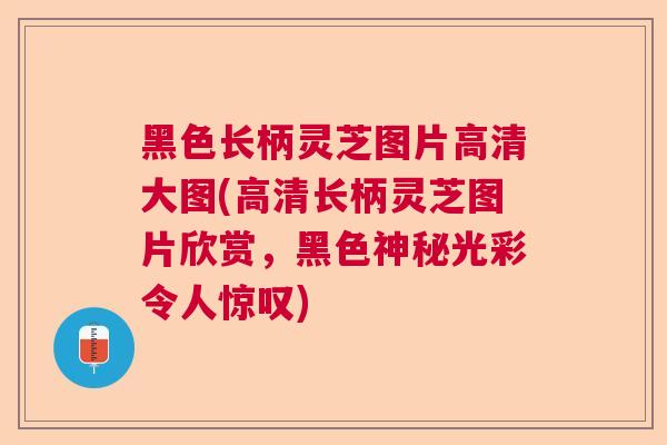 黑色长柄灵芝图片高清大图(高清长柄灵芝图片欣赏,黑色神秘光彩令人惊叹)  第1张 黑色长柄灵芝图片高清大图(高清长柄灵芝图片欣赏,黑色神秘光彩令人惊叹)  第1张