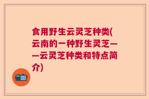 食用野生云灵芝种类(云南的一种野生灵芝——云灵芝种类和特点简介)  第1张 食用野生云灵芝种类(云南的一种野生灵芝——云灵芝种类和特点简介)  第1张