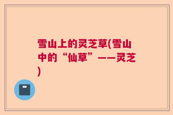 雪山上的灵芝草(雪山中的“仙草”——灵芝)  第1张