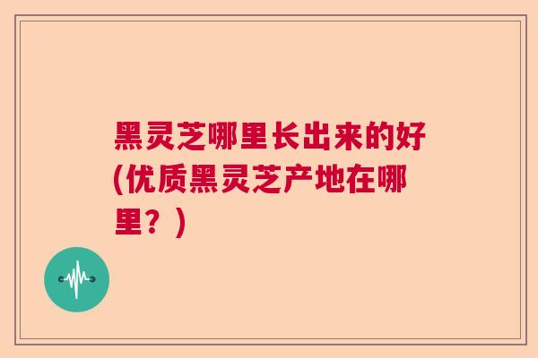 黑灵芝哪里长出来的好(优质黑灵芝产地在哪里？)  第1张
