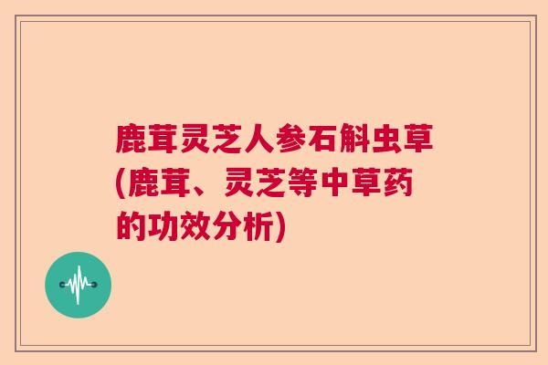 鹿茸灵芝人参石斛虫草(鹿茸、灵芝等中草药的功效分析)  第1张