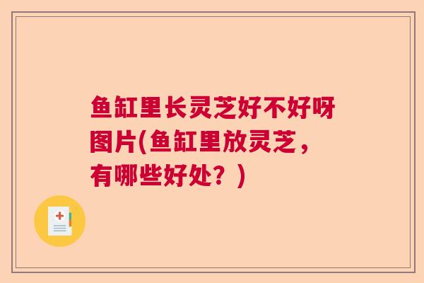 鱼缸里长灵芝好不好呀图片(鱼缸里放灵芝，有哪些好处？)  第1张