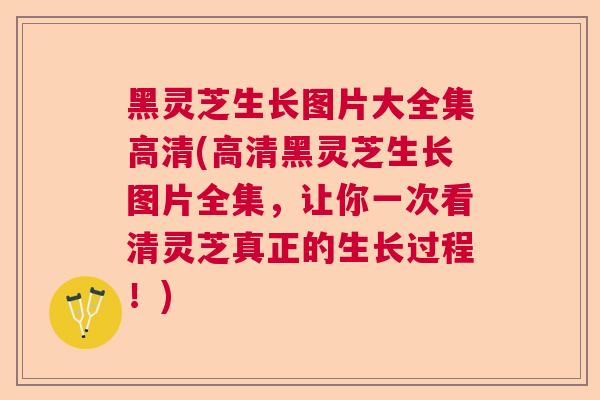 黑灵芝生长图片大全集高清(高清黑灵芝生长图片全集，让你一次看清灵芝真正的生长过程！)  第1张
