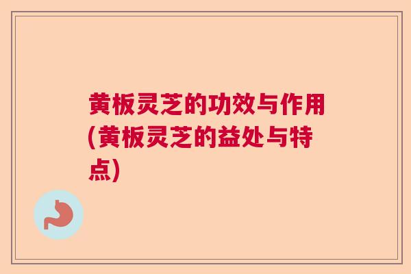 黄板灵芝的功效与作用(黄板灵芝的益处与特点)  第1张