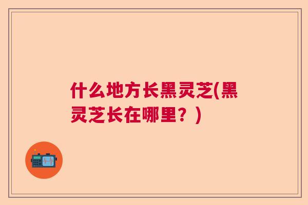 什么地方长黑灵芝(黑灵芝长在哪里？)  第1张