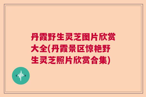 丹霞野生灵芝图片欣赏大全(丹霞景区惊艳野生灵芝照片欣赏合集)  第1张