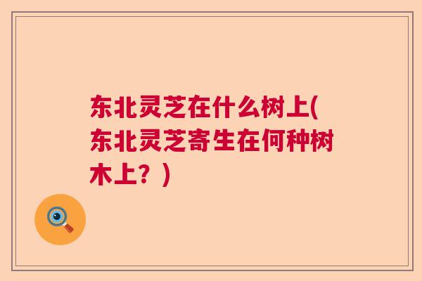 东北灵芝在什么树上(东北灵芝寄生在何种树木上？)  第1张