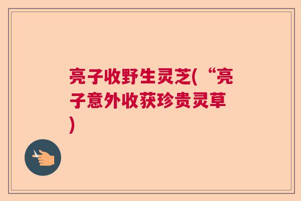亮子收野生灵芝(“亮子意外收获珍贵灵草 )  第1张