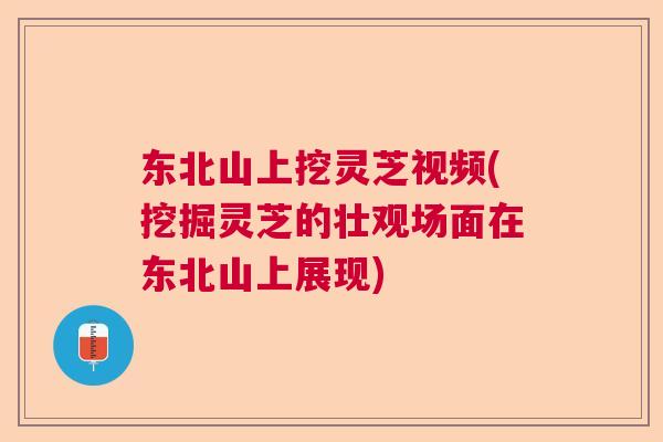 东北山上挖灵芝视频(挖掘灵芝的壮观场面在东北山上展现)  第1张