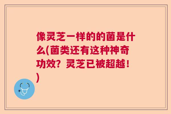 像灵芝一样的的菌是什么(菌类还有这种神奇功效？灵芝已被超越！)  第1张